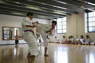 ss_IMG_2463 